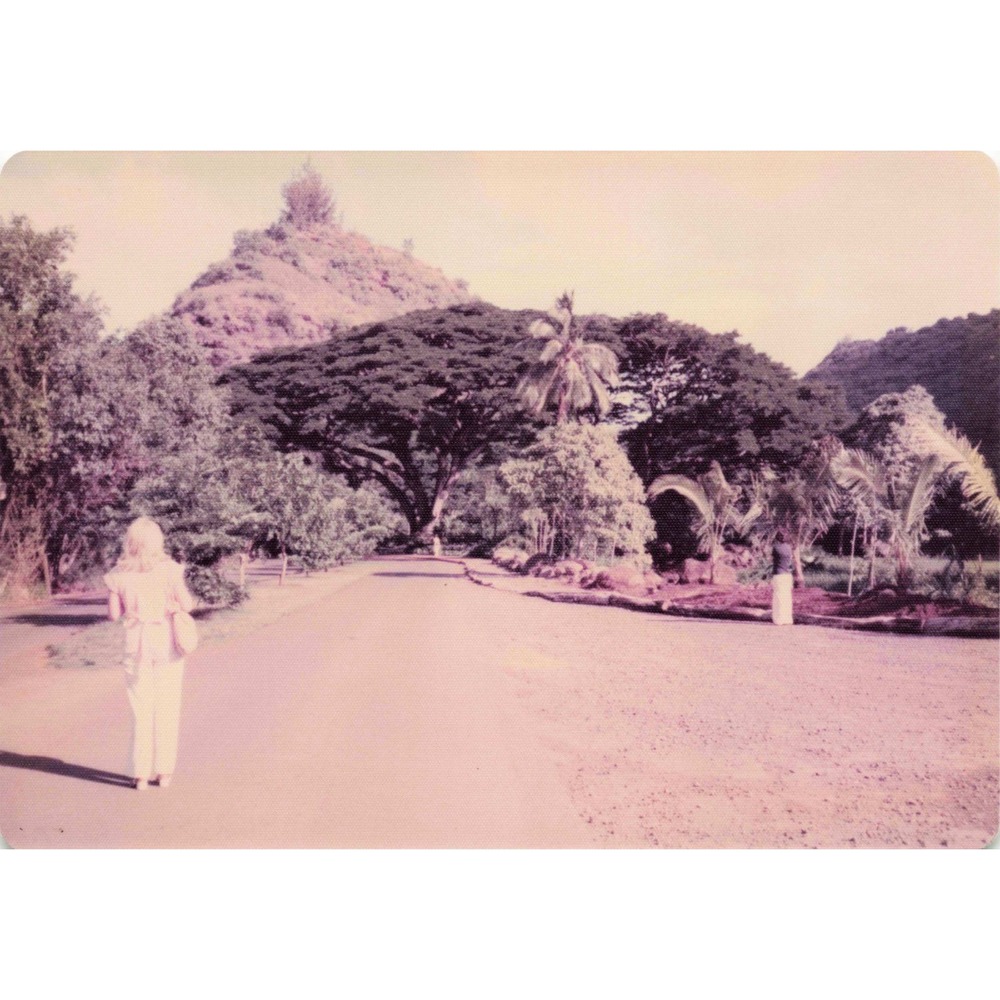 Vintage 1970s Hawaii Oahu Volcanic Hill Garden Peafowl Photo Lot of 6 - Picture 3 of 6
